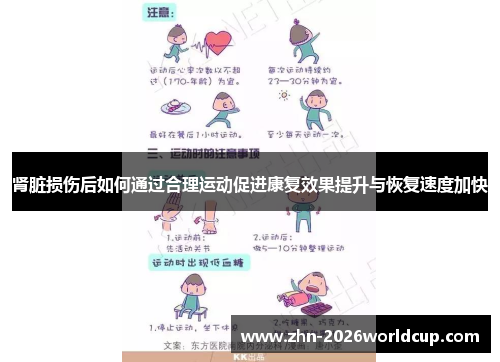 肾脏损伤后如何通过合理运动促进康复效果提升与恢复速度加快 肾脏损伤后如何通过合理运动促进康复效果提升与恢复速度加快