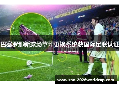 巴塞罗那新球场草坪更换系统获国际足联认证