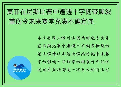 莫菲在尼斯比赛中遭遇十字韧带撕裂 重伤令未来赛季充满不确定性 莫菲在尼斯比赛中遭遇十字韧带撕裂 重伤令未来赛季充满不确定性